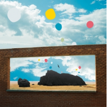 Admiral Fallow - First of the Brids