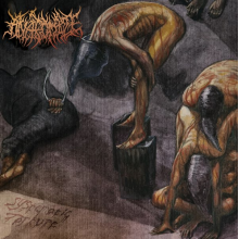 Anatomize - Systematic Torture