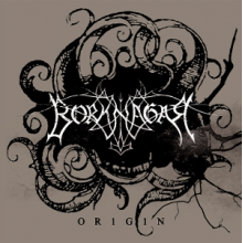 Borknagar - Origin