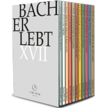 Chor & Orchester Der J.S. Bach-Stiftung & Rudolf Lutz - Bach Erlebt Xvii