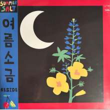 Summer Salt - Reside