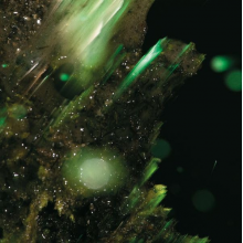 Abraham - Idsungwussa