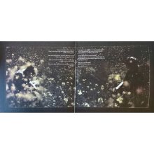 Cain, Ethel - Willoughby Tucker I'll Always Love You LP BLACK INDIE