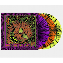 King Gizzard And The Lizard Wizard - King Gizzard - Live In Miami 24 LP