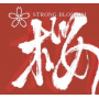 Strong Blossom - Cherry Blossom