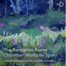 Wdr Sinfonieorchester Chamber Players - The Romantic Room: Chamber Works By Spohr