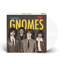 Gnomes - Gnomes