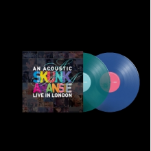 Skunk Anansie - An Acoustic Skunk Anansie - Live In London
