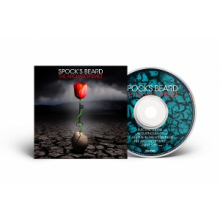 Spock's Beard - The Archaeoptimist