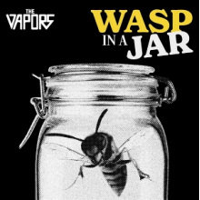 Vapors - Wasp In a Jar