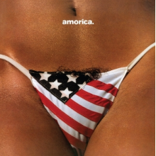 Black Crowes - Amorica
