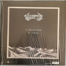 Wyatt E. - Mount Sinai/Aswan