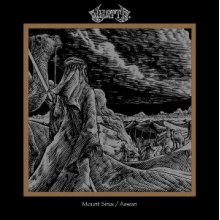 Wyatt E. - Mount Sinai/Aswan