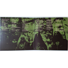 Acid Mammoth - Supersonic Megafauna Collison