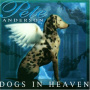 Anderson, Pete - Dogs In Heaven