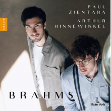 Zientara, Paul & Arthur Hinnewinkel - Brahms: Works For Viola & Piano
