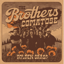 Brothers Comatose - Golden Grass