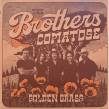 Brothers Comatose - Golden Grass