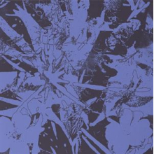 Plants Heal - Forest Dwellers