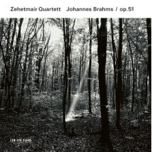 Zehetmair Quartett - Brahms Op. 51
