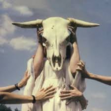 Star Visitors - Star Visitors