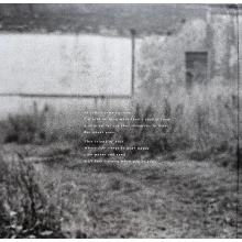 Sylvian, David - Gone To Earth LP