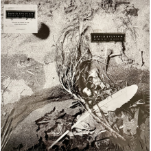 Sylvian, David - Secrets Of The Beehive LP