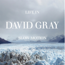 Gray, David - Life In Slow Motion