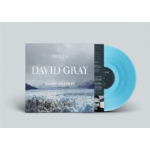 Gray, David - Life In Slow Motion