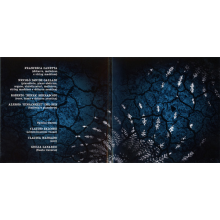 Quel Che Disse Il Tuono - Il Velo Dei Riflessi