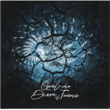 Quel Che Disse Il Tuono - Il Velo Dei Riflessi