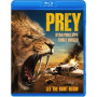 Movie - Prey (2024)
