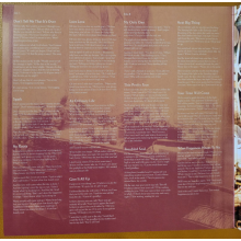 Macdonald, Amy - A Curious Thing 15