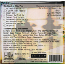 Thollem - Thollem - Worlds In a Life, Two