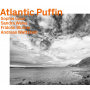 Blumer, Fridolin - Atlantic Puffin