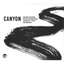 Courvoisier, Sylvie - Canyon