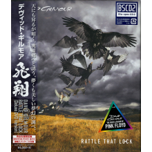 Gilmour, David - Rattle That Lock