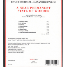 Hawkins, Alexander - A Near Permanent State of Wonder