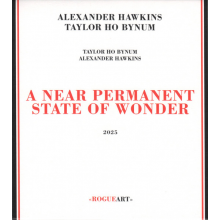 Hawkins, Alexander - A Near Permanent State of Wonder