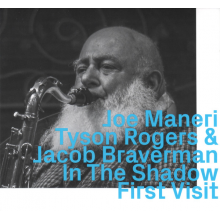 Maneri, Joe - In the Shadow - First Visit