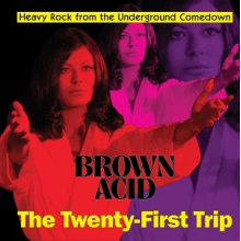 V/A - Brown Acid: the 21th Trip