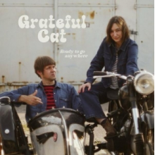 Grateful Cat - Ready To Go Anywhere