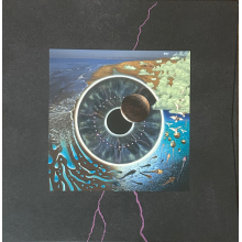 Pink Floyd - Pulse