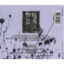 They Die - Emptiness Prevails