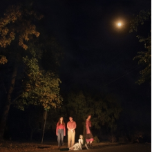 Ophelias - Spring Grove