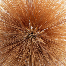 Brennan, Patricia - Of the Near and Far