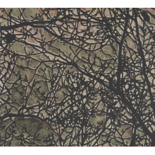 Morris, Joe - Abstract Forest