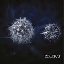 Cranes - Cranes