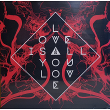 Band of Skulls - Love is All You Love