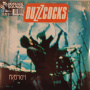 Buzzcocks - French